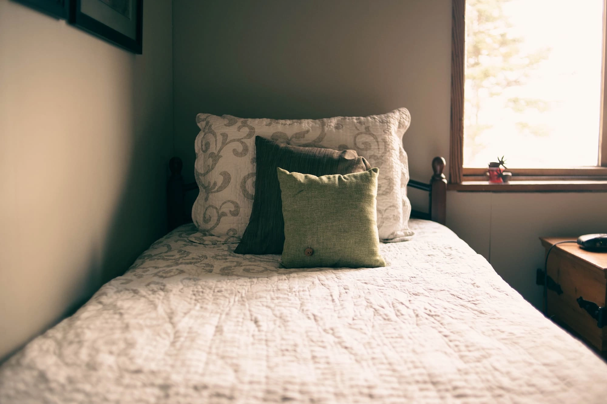 Immobilier : Comment gérer le fléau des punaises de lit dans le  copropriétés ? - MySweetimmo